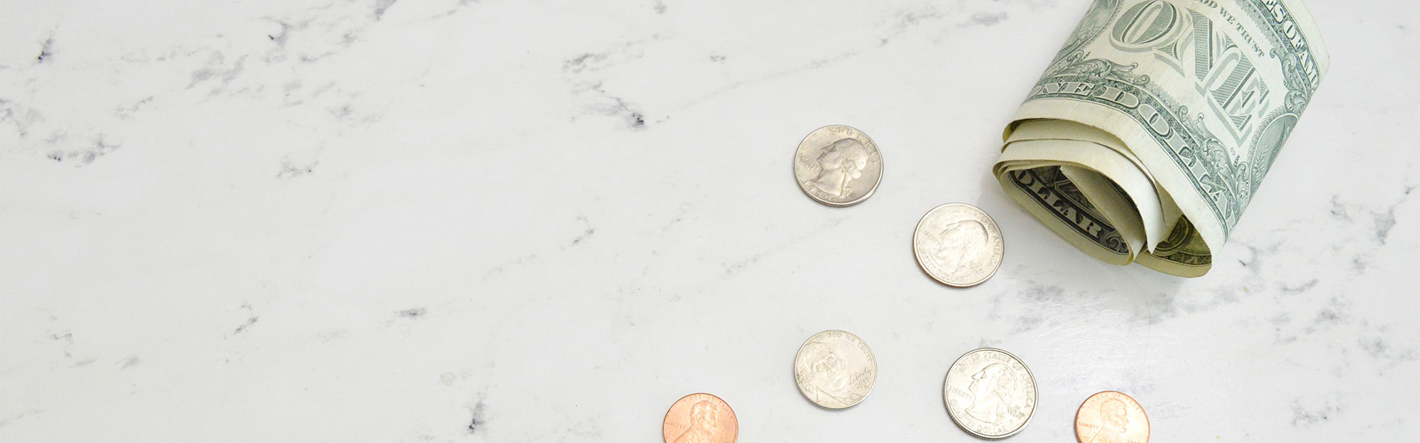 Temenos Infinity Recovery - Dollar and Change
