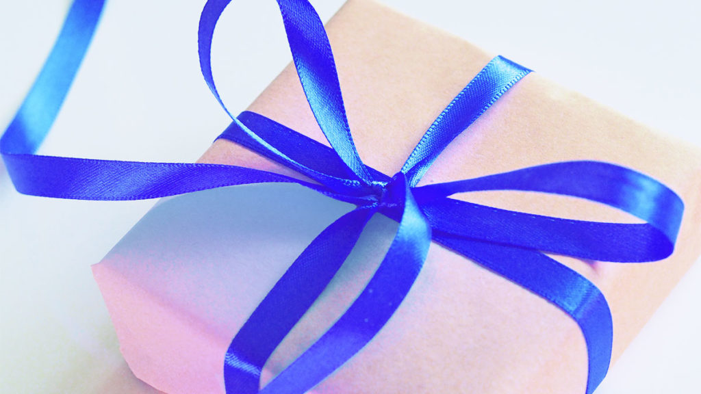 Small Business - Package with blue bow