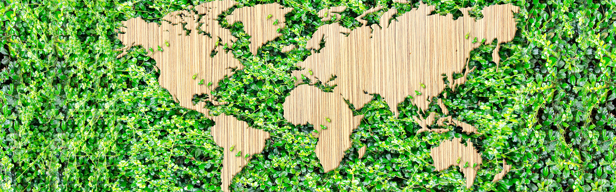 a view of the world created using leaves and wood