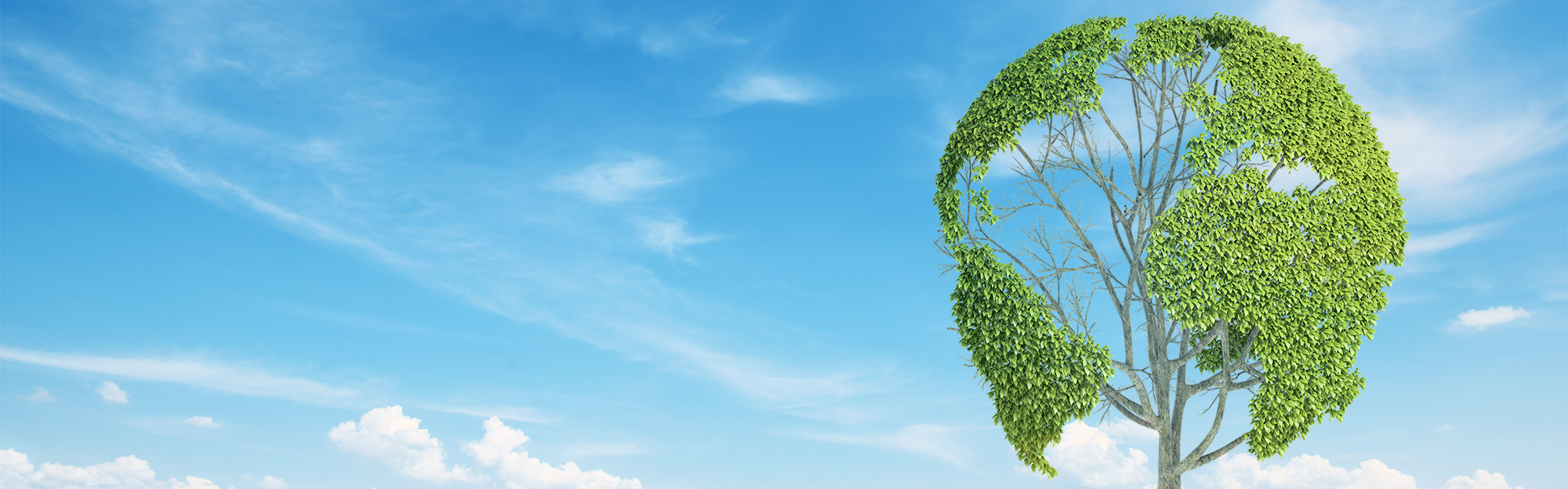 sustainability-index-round-tree-landscape-Hero